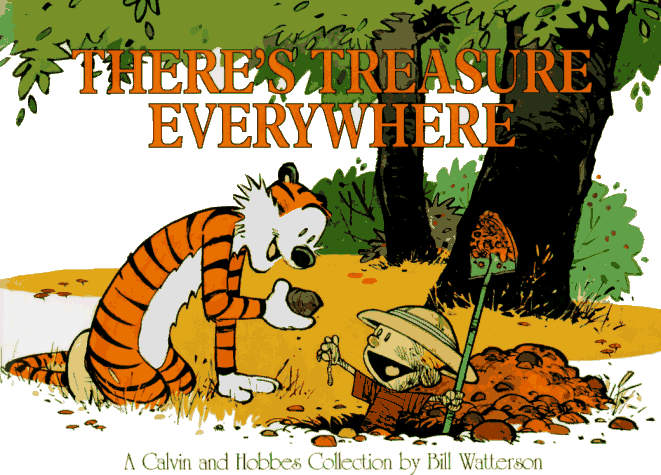 There's Treasure Everywhere cover