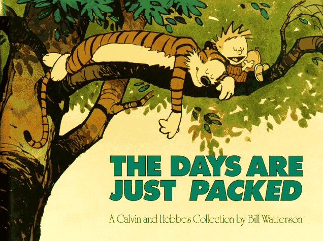 The Days Are Just Packed cover